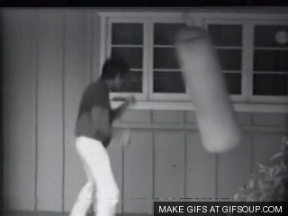 bruce lee heavy bag